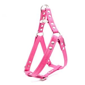 Fuchsia Cork Dog Harness